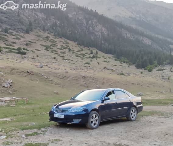 Toyota Camry V (XV30) 2.4 AT