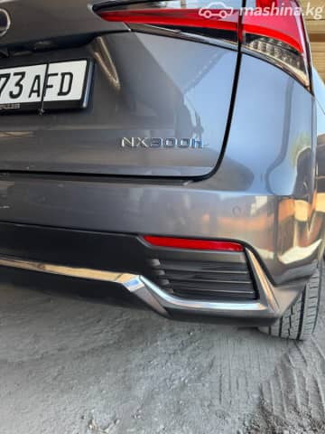 Lexus NX I Рестайлинг 300h 2.5hyb CVT 4WD