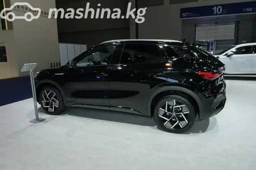 BYD Yuan Plus Extended Range Electro AT