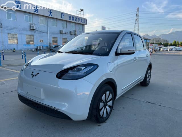 Wuling Binguo 37.9 kWh Electro AT