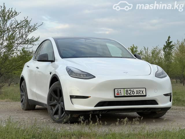 Tesla Model Y I Long Range Electro AT 4WD