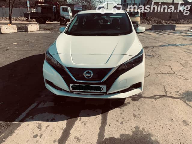 Nissan Leaf II (ZE1) Electro AT