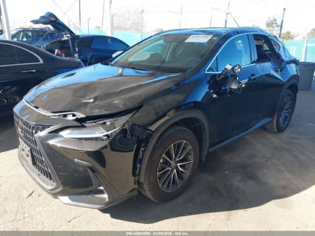 Lexus NX II 250 2.5 AT