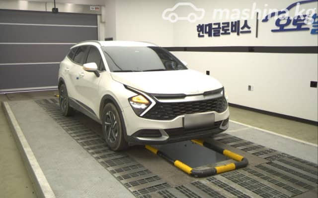 Kia Sportage V 1.6hyb AT 4WD