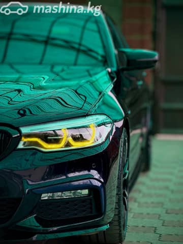 BMW 5 серии VII (G30/G31) 520d xDrive 2.0d AT 4WD