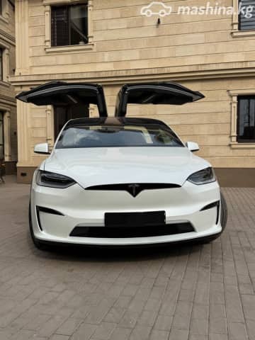 Tesla Model X I Рестайлинг Plaid Electro AT 4WD