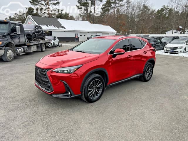 Lexus NX II 250 2.5 AT