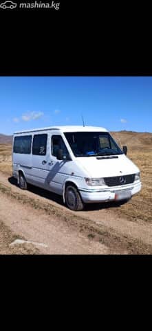 Mercedes-Benz Междугородный