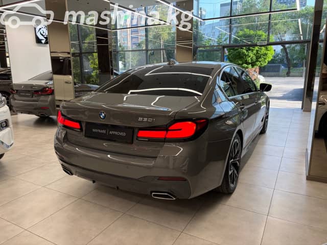 BMW 5 серии VII (G30/G31) Рестайлинг 530i 2.0 AT