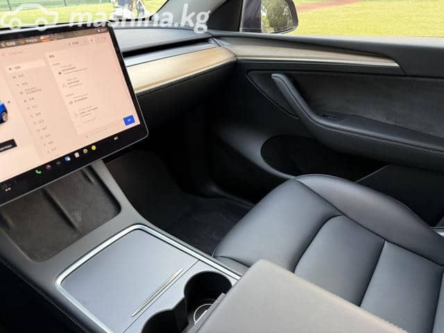 Tesla Model Y I Long Range Electro AT