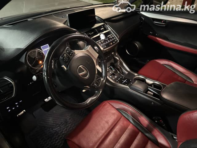 Lexus NX I Рестайлинг 300 2.0 AT 4WD
