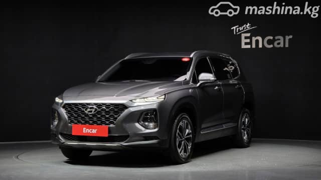 Hyundai Santa Fe IV 2.2d AT 4WD
