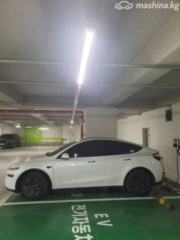 Tesla Model Y I Performance Electro AT 4WD