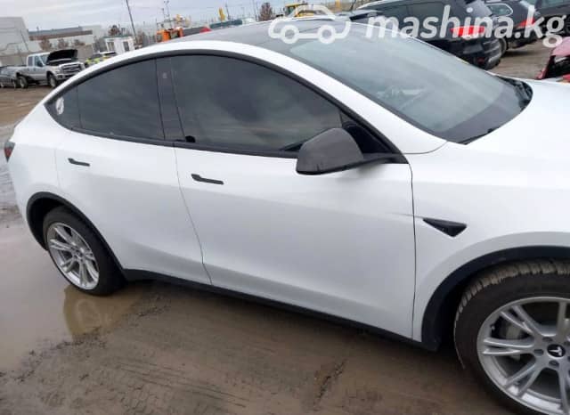 Tesla Model Y I Long Range Electro AT 4WD