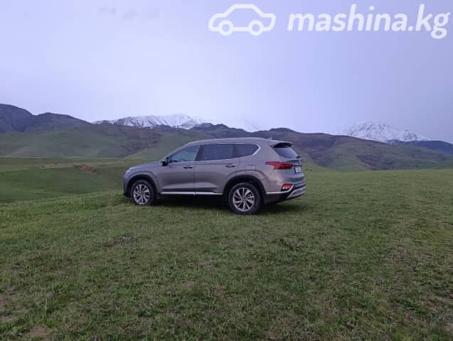 Hyundai Santa Fe IV 2.0d AT 4WD