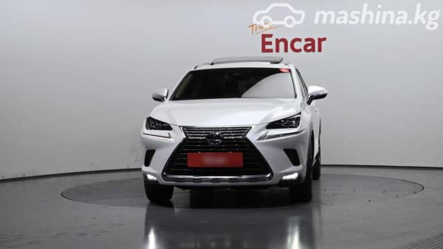Lexus NX I Рестайлинг 300h 2.5hyb CVT 4WD