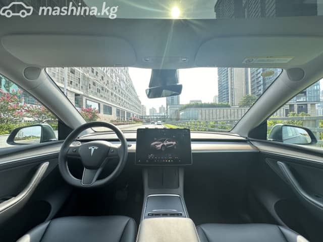 Tesla Model Y I Standard Electro AT