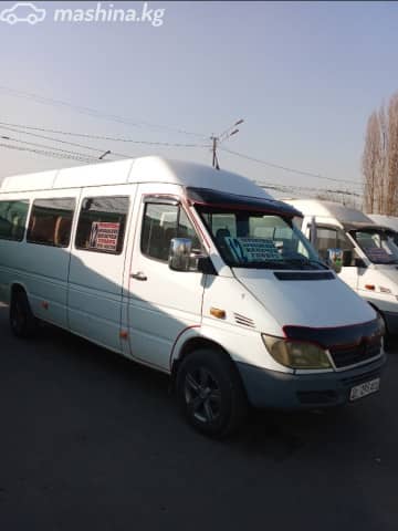 Mercedes-Benz Городской