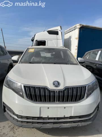 Skoda Kamiq I (China Market) 1.5 AT
