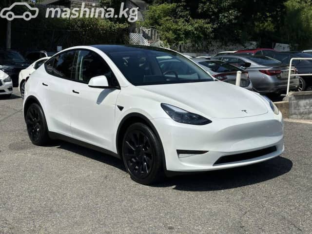 Tesla Model Y I Performance Electro AT 4WD