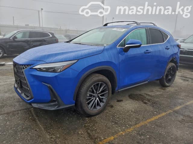 Lexus NX II 250 2.5 AT
