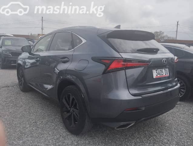 Lexus NX I Рестайлинг 300 2.0 AT 4WD