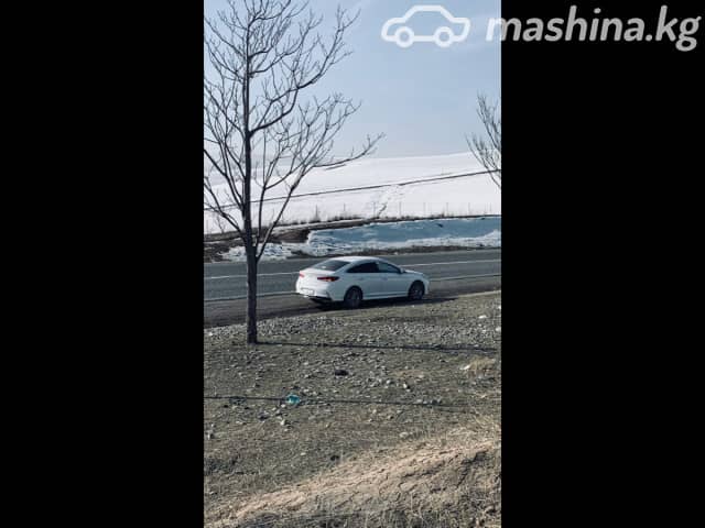 Hyundai Sonata VII (LF) Рестайлинг 2.0 AT