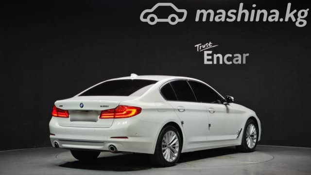 BMW 5 серии VII (G30/G31) 530i xDrive 2.0 AT 4WD