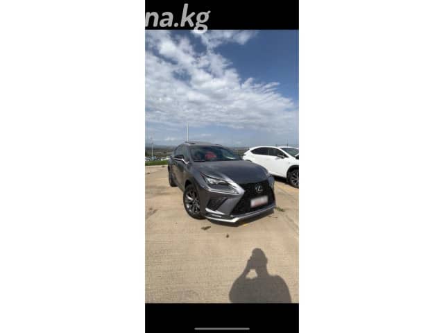 Lexus NX I Рестайлинг 300 2.0 AT 4WD