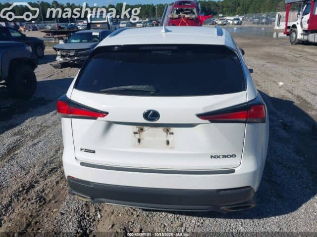 Lexus NX I Рестайлинг 300 2.0 AT 4WD