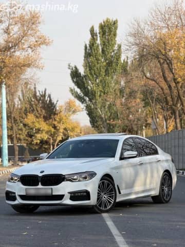 BMW 5 серии VII (G30/G31) 530i xDrive 2.0 AT 4WD