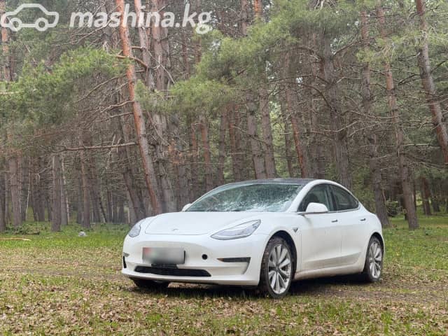 Tesla Model 3 I Standart Plus Electro AT