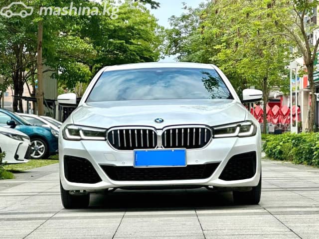BMW 5 серии VIII (G60/G61/G68) 530Li 2.0 AT