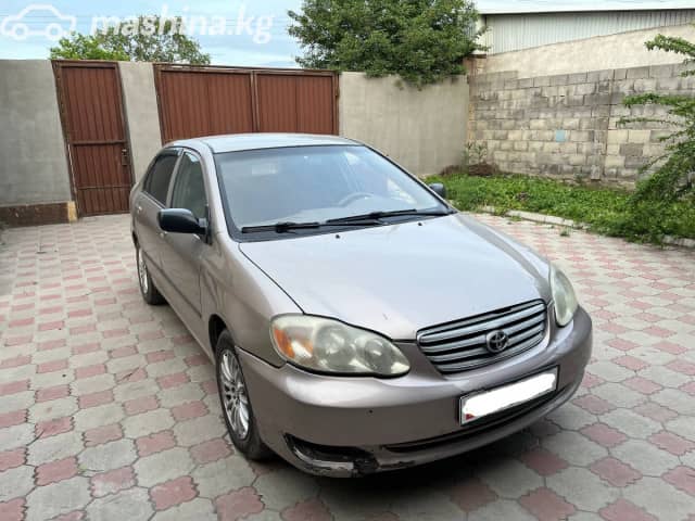 Toyota Corolla IX (E120, E130) 1.6 AT