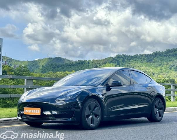 Tesla Model 3 I Standart Plus Electro AT