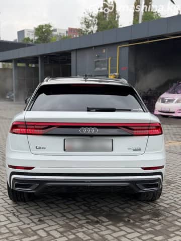 Audi Q8 I (4M) 50 TDI 3.0d AT 4WD