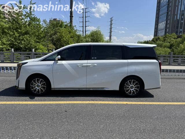 GAC Trumpchi E9 2.0hyb AT