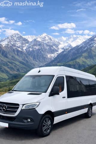 Mercedes-Benz Туристический