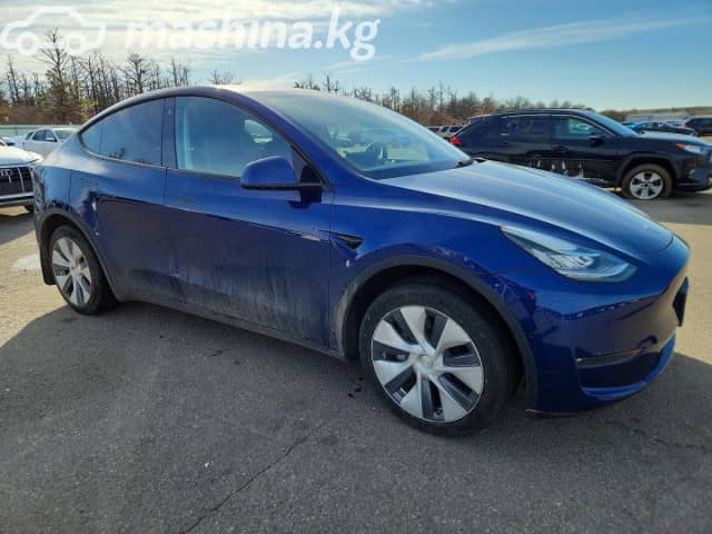 Tesla Model Y I Long Range Electro AT 4WD