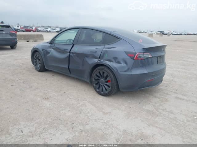 Tesla Model Y I Performance Electro AT 4WD