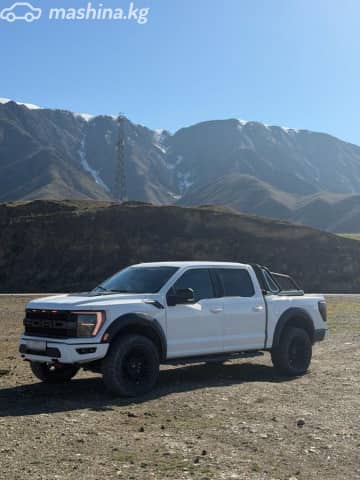 Ford F-150 XIII Рестайлинг 5.0 AT 4WD
