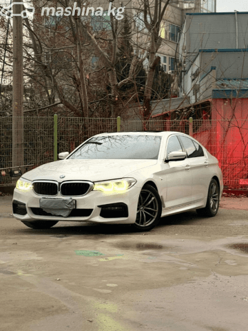 BMW 5 серии VII (G30/G31) 520d 2.0d AT