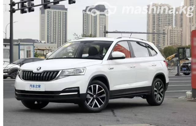 Skoda Kamiq I (China Market) 1.5 AT