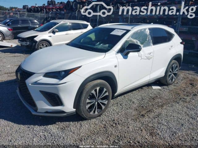 Lexus NX I Рестайлинг 300 2.0 AT 4WD