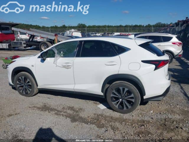 Lexus NX I Рестайлинг 300 2.0 AT 4WD