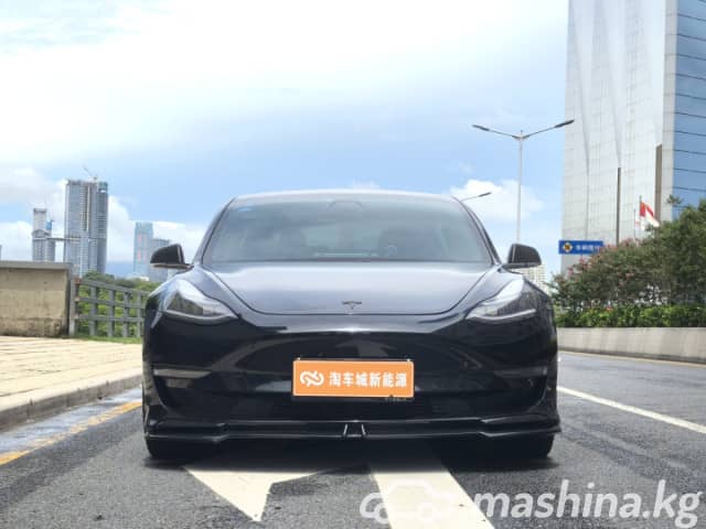Tesla Model 3 I Standart Electro AT
