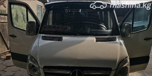 Mercedes-Benz Междугородный