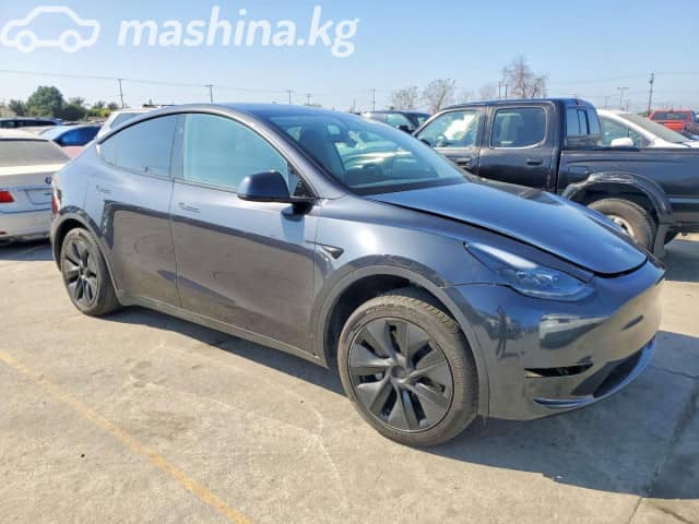 Tesla Model Y I Standard Electro AT