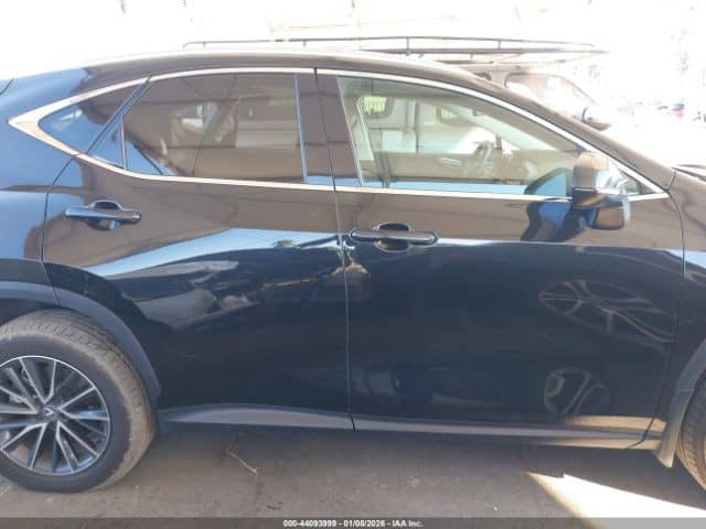 Lexus NX II 250 2.5 AT