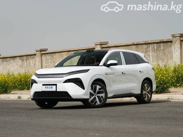 BYD Tang L DM-i 1.5hyb AT